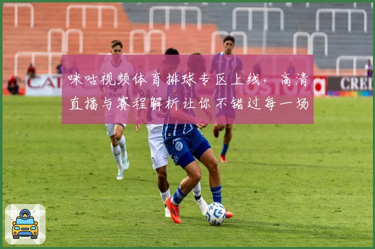 咪咕视频体育排球专区上线，高清直播与赛程解析让你不错过每一场精彩比赛